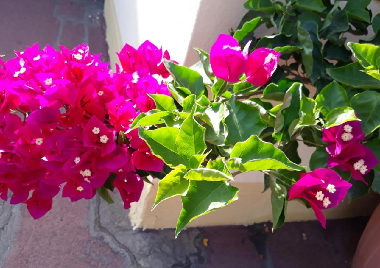 דירות אורוסיי Casa Lupino מראה חיצוני תמונה